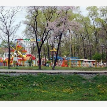 Парк города Артема.