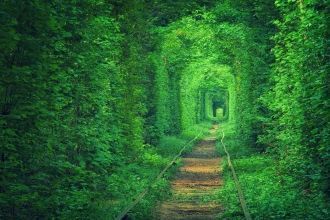 Тоннель любви, Ровенская область, Украин