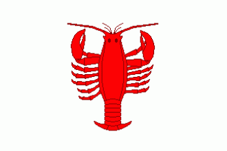 Флаг Раковника.