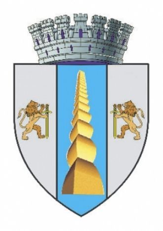 Герб г. Тыргу-Жиу.