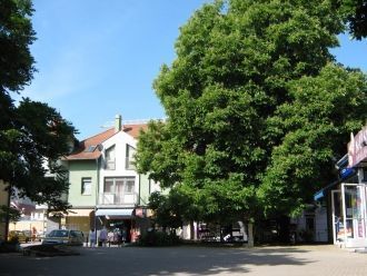 Улица Хок Янос коз