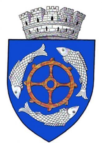 Герб Бырлада.