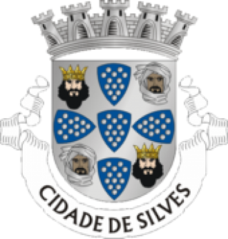 Герб Силвиша.