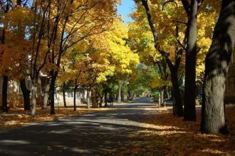 На улице города Северодонецк.