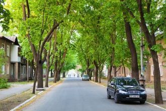 На улице города Северодонецк.