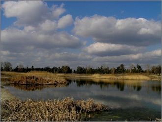 Озеро Парковое в черте города Северодоне