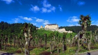 Замок Штернберк.&nbsp;