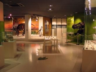 Палеонтологический музей Эльче был торже