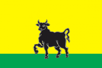 Флаг Сызрани.