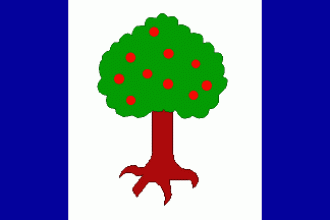 Флаг Лугачовице.