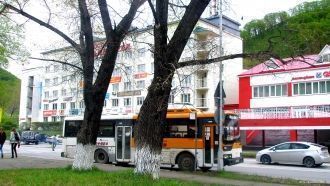 Улица Дальнегорска.