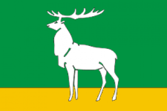 Флаг Бузулука.