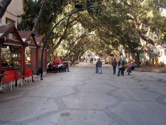 Городские жители и гости города Сдерот.