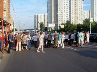 Жители и гости Химок.