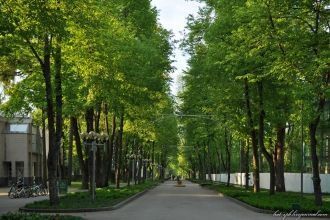 Вильнюсская аллея — главная пешеходная у
