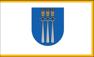 Флаг города Друскининкай.