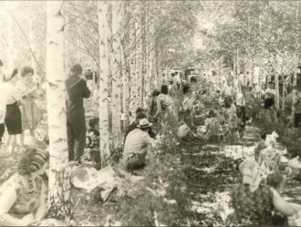 Историческое изображение парка Отрадного