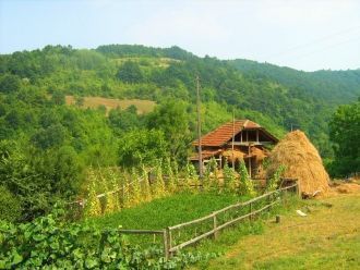 Деревня Стенс, Вранье, Сербия