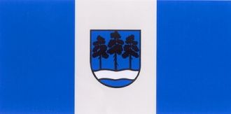 Флаг городе Огре.