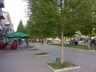 Центральная улица.