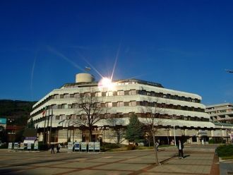 Город Дупница.