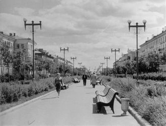 Аллея в городе Электросталь