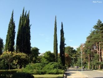 Уникальный городской парк в городе Санда