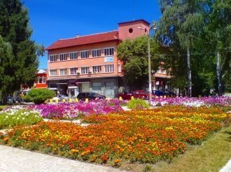 Цветочная клумба в центре Самокова.
