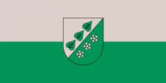 Флаг города Сигулда.