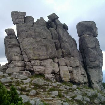 Национальный парк Карконоше, Карпач, Пол