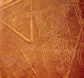 Многолетние исследования рисунков и лини