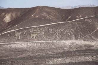 Есть версия, что животные и птицы являют