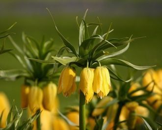 Дизайнеры каждый год работают над создан