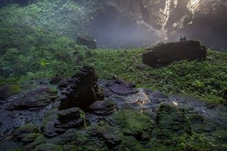 Джунгли в пещере Шондонг.