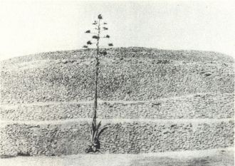 В городе не найдено множество скелетов к