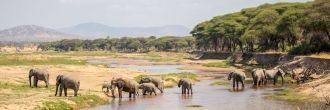 Второй по величине парк Танзании, Руаха 