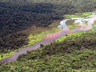 Река Конго, или Заир, как ее чаще называ