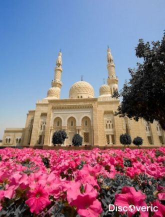 Посещать Мечеть Джуиейра можно только ма