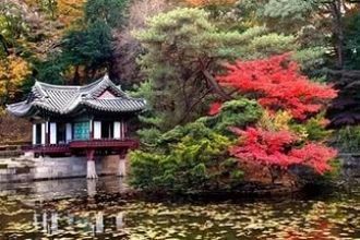 Это красивейший сад с уникальными деревь