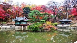 Главная отличительная черта Чхандоккуна 