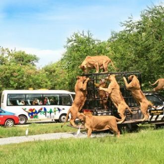 Если Вы столкнётесь с трудностями – не п