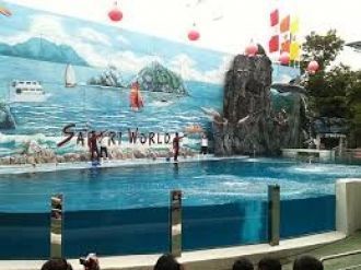 Другие зрелища проходят в грандиозных ам