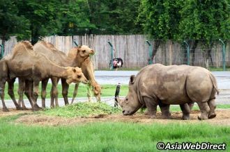 Первая секция – вотчина разнообразных тр