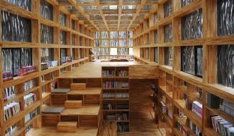 Судьба и история библиотеки в Александри