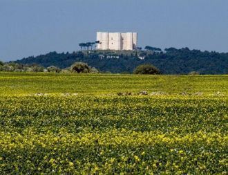 То, что этот замок был задуман в первую 