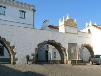 Проложив свой путь через сельскую местно