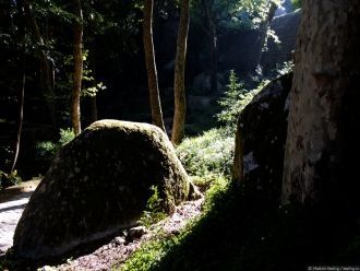 Тропа к замку, окружённая со всех сторон