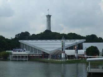 Принимая во внимание тот факт, что Синга