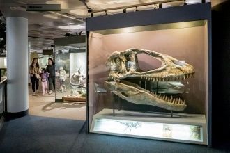 Экспозиция в Южноафриканском изико-музее
