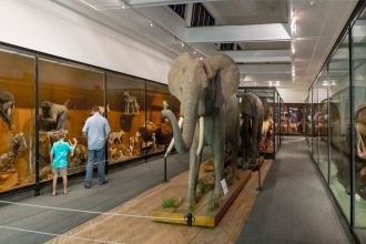 Внутри Южноафриканского изико-музея.